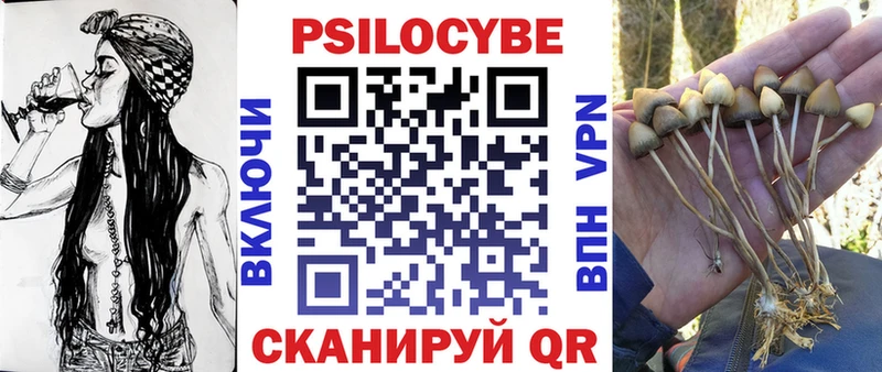 Псилоцибиновые грибы MAGIC MUSHROOMS  Электрогорск 